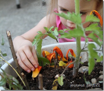 Emma builds a fairy village