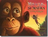 miracle in sumatra
