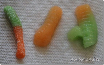 comparison of a regular gummy worm with one soaked in water for several hours