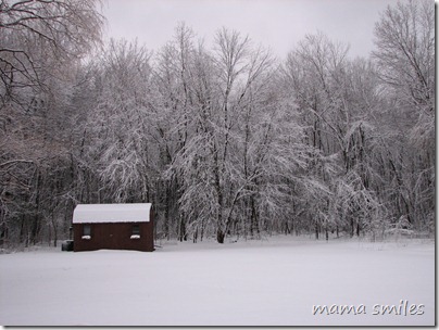 winter