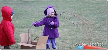 gathering nature craft materials