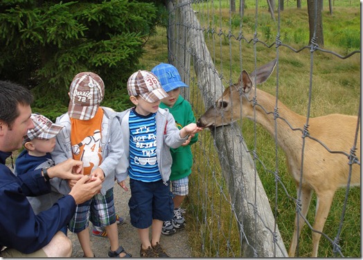 Shubenacadie Wildlife Park