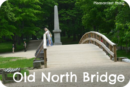 Bridge WM