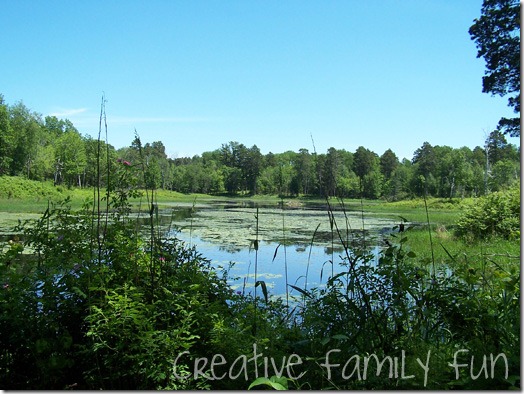 Mississippi River Headwaters
