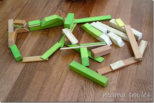 tegu block structure