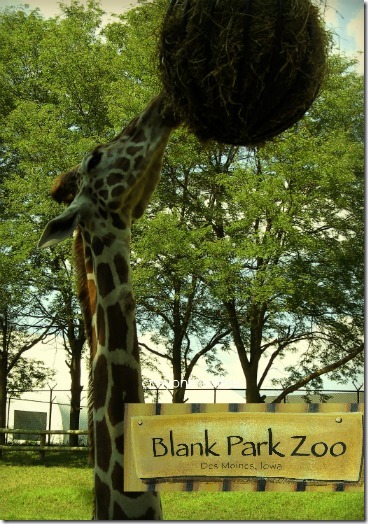 blank park zoo