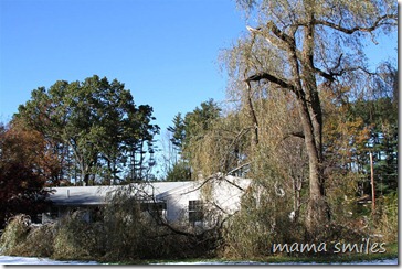 Tree branches in our yard after Snowtober