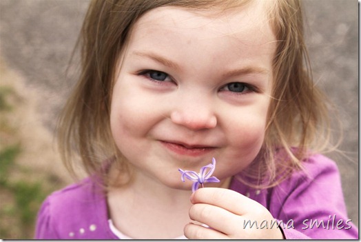 finding early spring flowers
