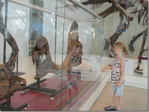 Royal Ontario Museum