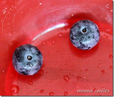 Farmer's market blueberries