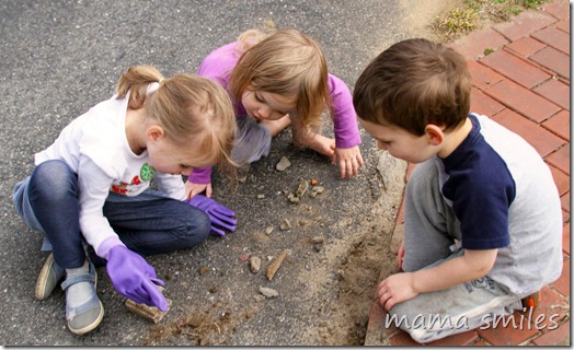 looking for ants