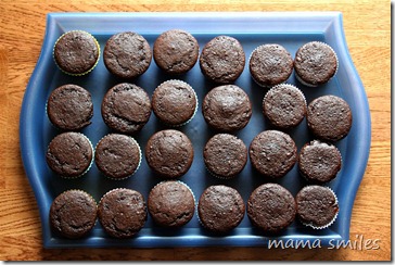 egg-free cupcakes