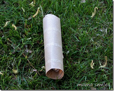 toilet paper roll turned butterfly cocoon