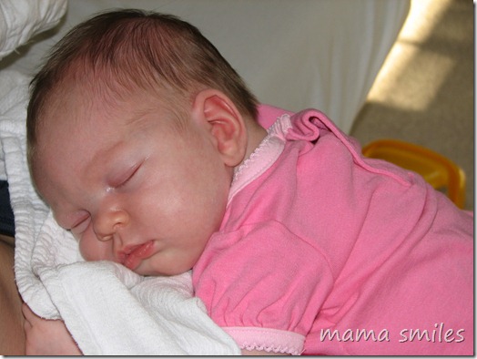 Three-week-old Lily