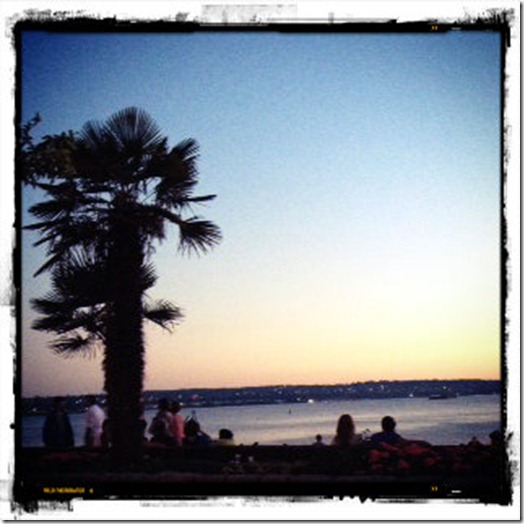 palmtree pic