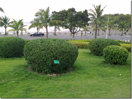 gardens in Zhuhai, China