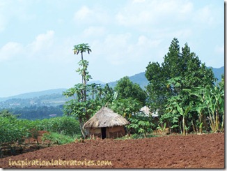 Kenyan hut