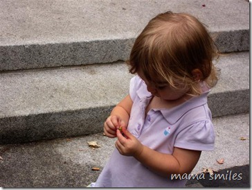 Lily examines a flower in a park in Montreal