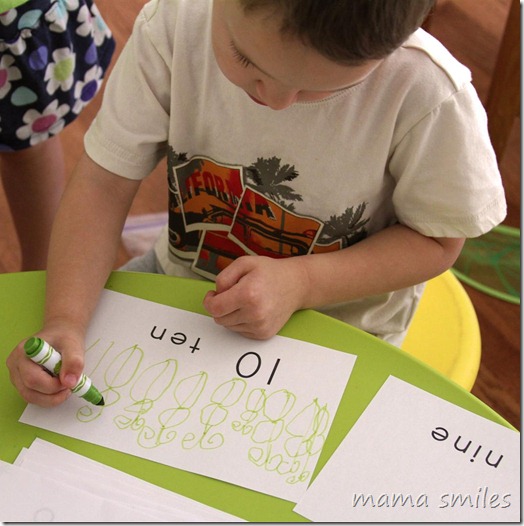 Making a butterfly counting book