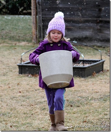creating an outdoor science center for kids