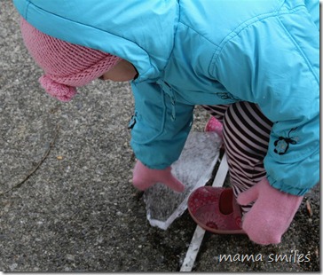 learning about ice in the wintertime