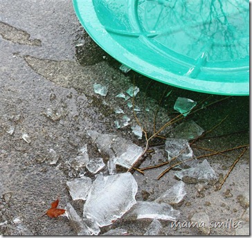 learning about ice in the wintertime