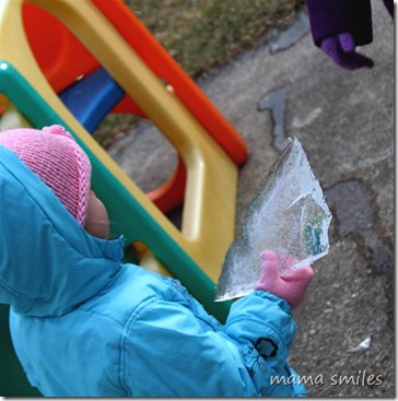 Lily carrying a chunk of ice