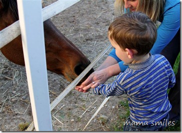 Feeding horse cookies to Magic's friend
