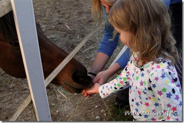Feeding horse cookies to Magic's friend
