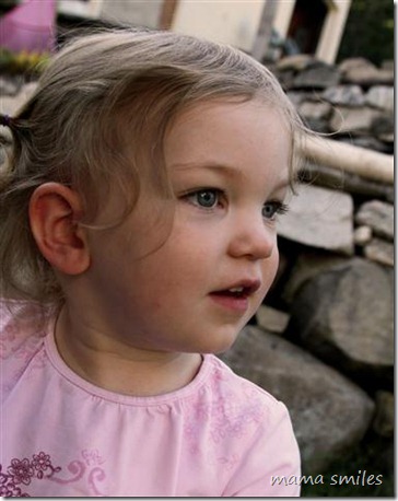 Lily, fascinated by the horses