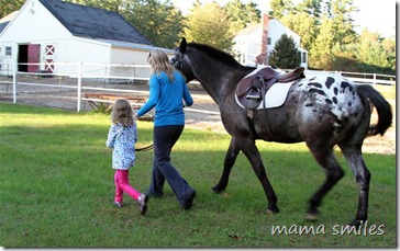 Walking Magic back to the barn