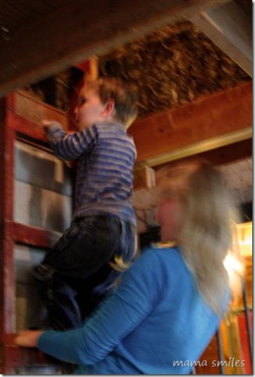 climbing to the loft to get hay for the horses