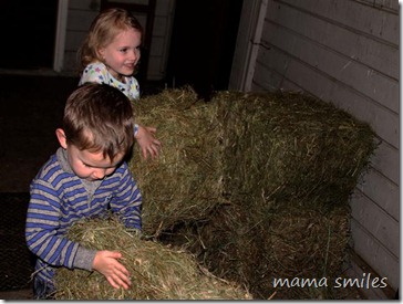 carrying hay to the horses