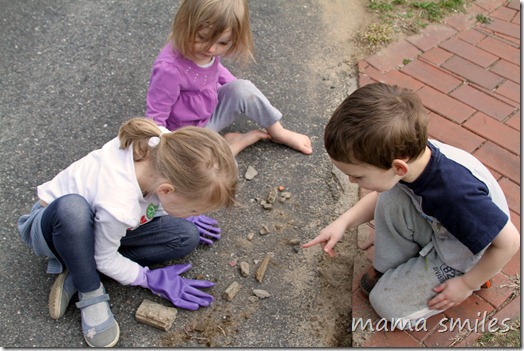 Looking for ants