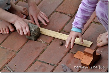 measuring rocks found on a walk