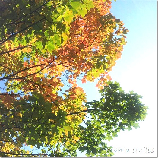autumn in New England