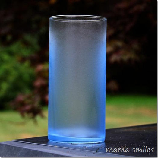 spray painted frosted vase