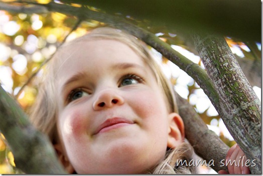 childhood - 6yo Emma climbs a tree