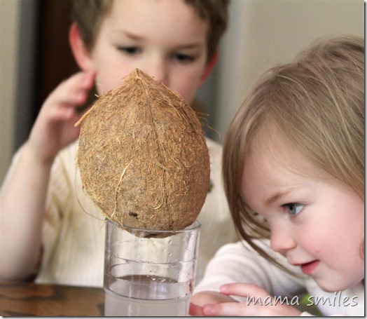 watching coconut milk drain