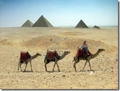 IMG2-camel-caravan-near-pyramid-in-the-egypt--cairo--giza