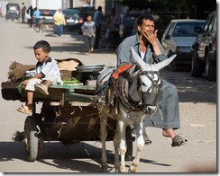 IMG5-donkey-cart-on-Cairo-Street
