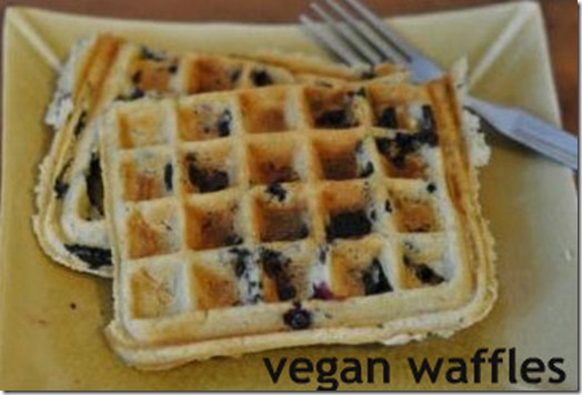 Brussels waffle