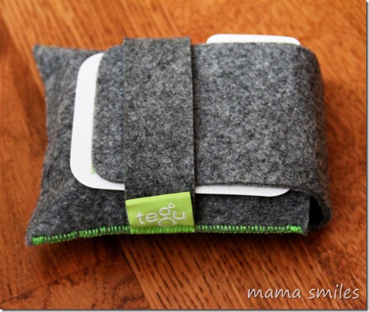 tegu blocks in their pouch