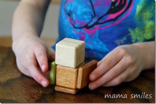 building with tegu blocks