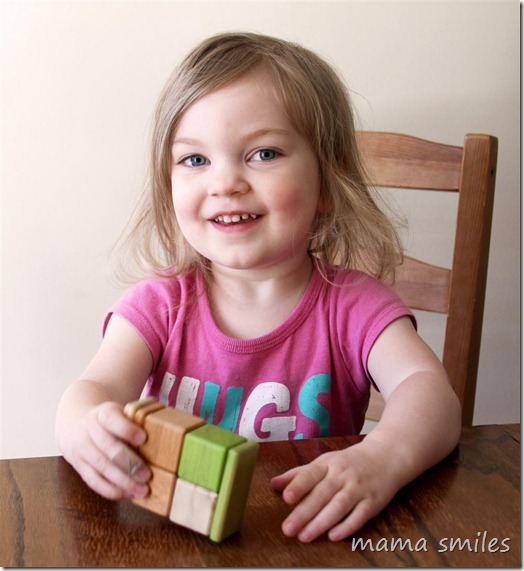 tegu blocks