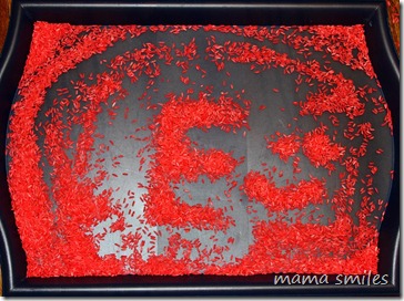 E for Emma made using grains of rice