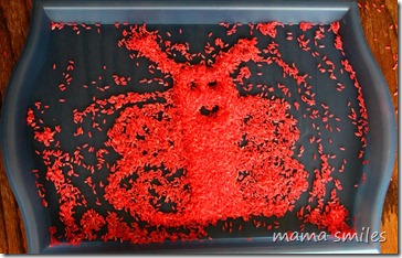 butterfly made out of grains of rice