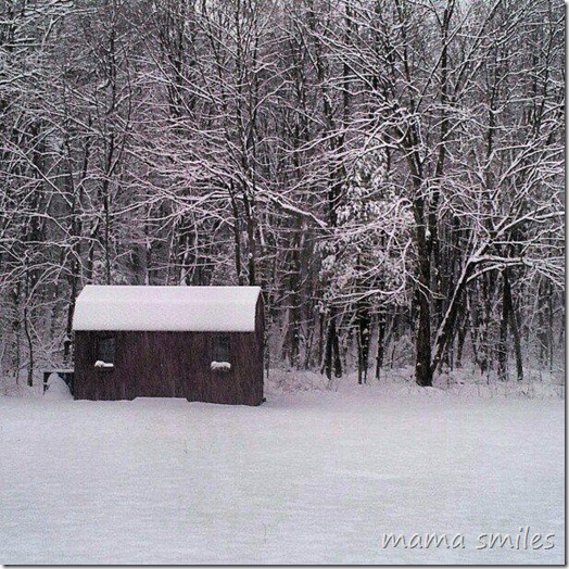snow day winter scene