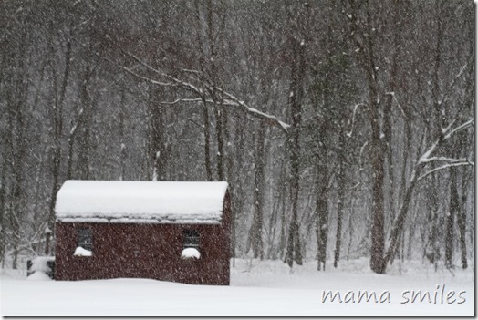 snowstorm in Massachusetts