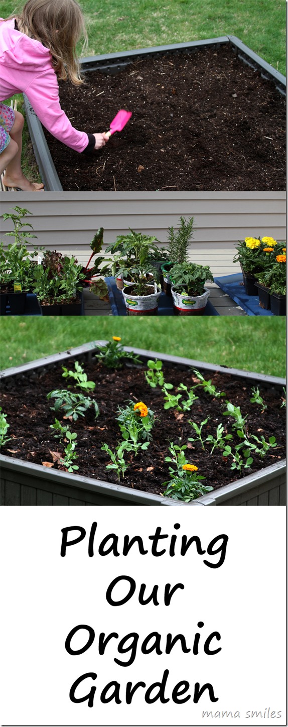 planting-our-organic-garden